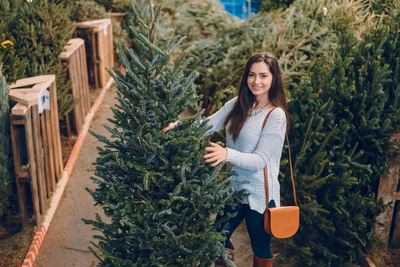 Medium livechristmastree