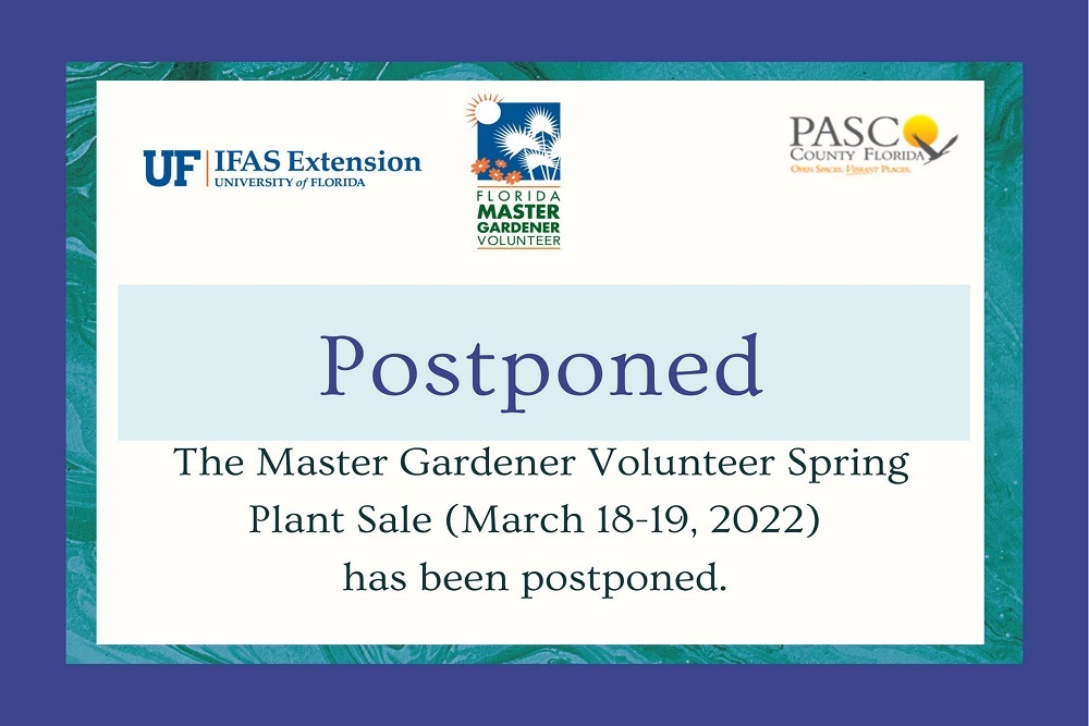 274792771 4941528792603142 5958970875074712989 n