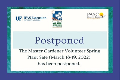 Medium 274792771 4941528792603142 5958970875074712989 n