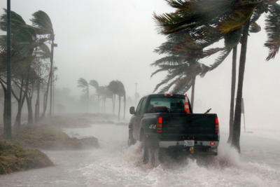 Medium e8s0fe1wuammqgc