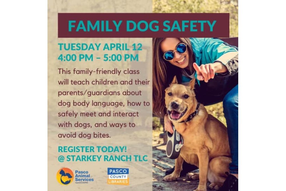 277800654 4917429338334668 3825392555509156216 n