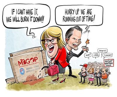 Medium cartoon