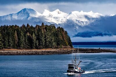 Medium 319893678 1320713742114972 2043612146204705592 n