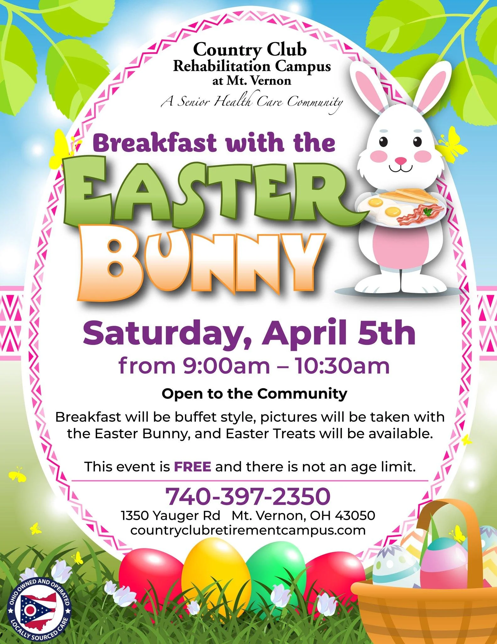 Webp bunny
