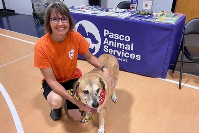 Medium 279566248 4992382737505994 7723321991656138084 n