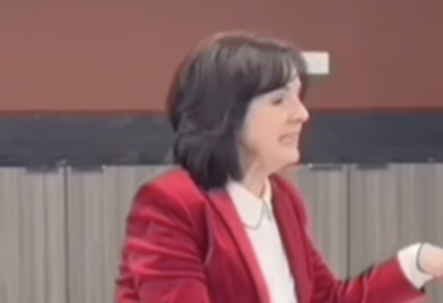 Julie Cho, New Trier GOP Committeeperson Chair, faces an appeal after the Cook County Electoral Board dismissed affidavits alleging misconduct in her nominating petitions.