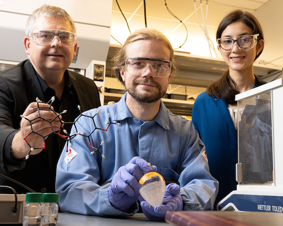 Rice Lab First to Mimic Molecule Found in Poppies - Current Science Daily