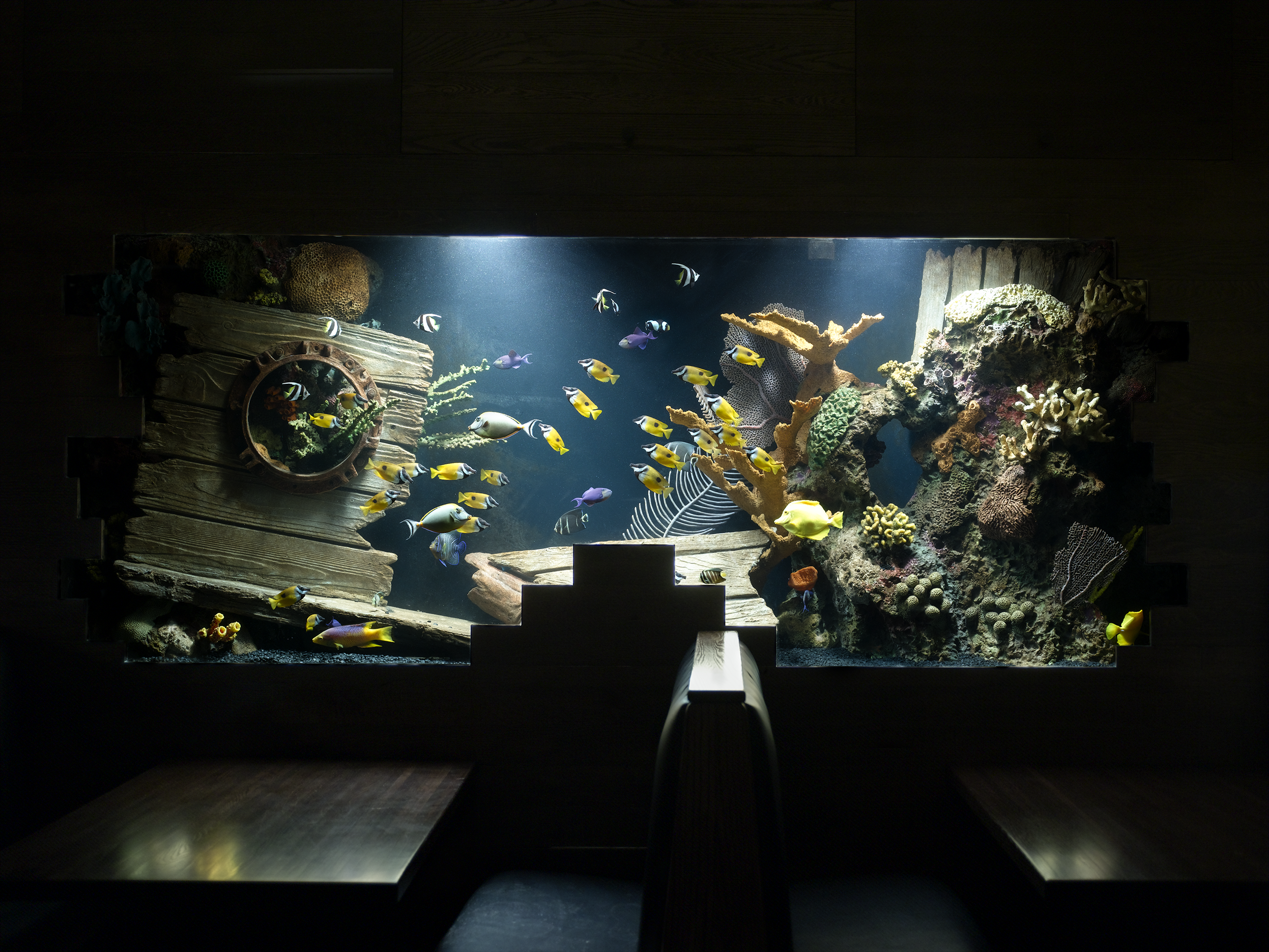 Eel reef 2a