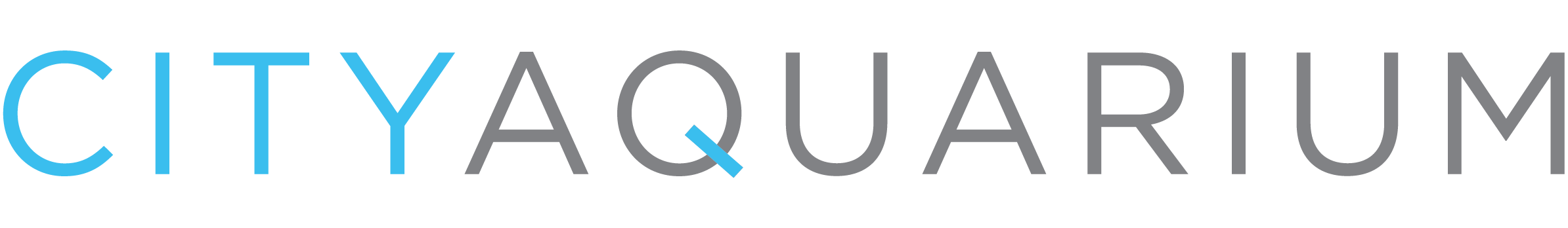 Ca logo 01
