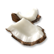 Ingredients coconut