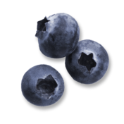 Blueberry