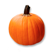 Ingredients pumpkinwhole