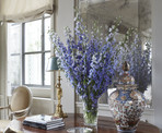Michael S. Smith Interiors Portfolio