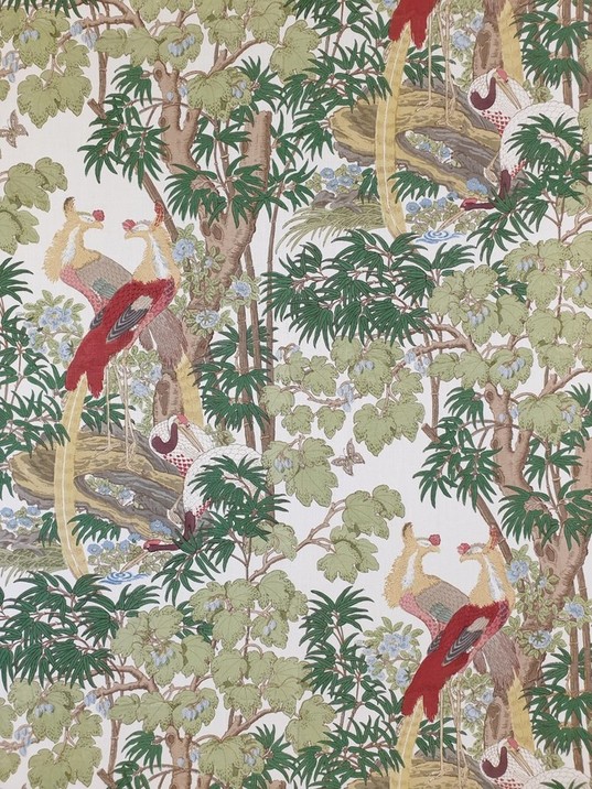 ORIENTAL PHEASANTS
