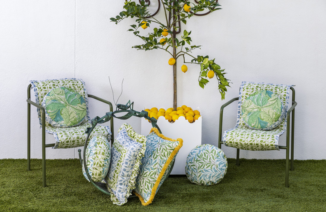 ACANTHUS - NETTLE/BLUE