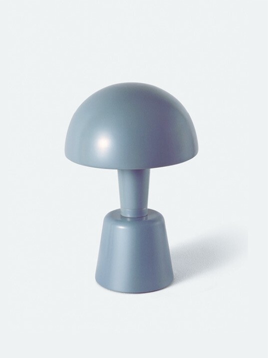 Portable Mini Painted Cep