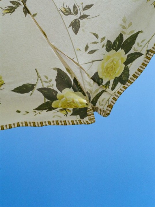 Rose Chintz
