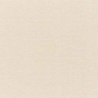 Jasper Performance Fabric in Indian Garden Plain in Cream