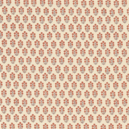 Jp 6422 devonshire coral