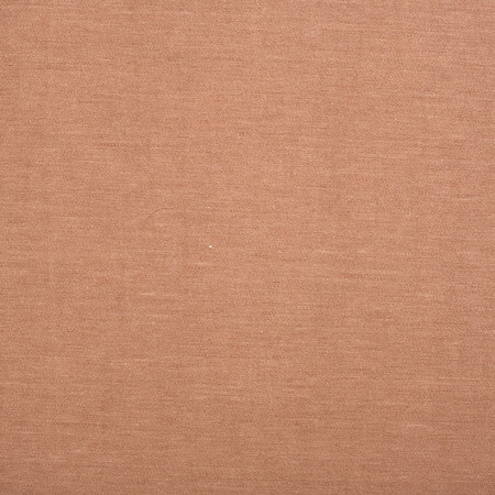 Jw 6816 chatham austin rose