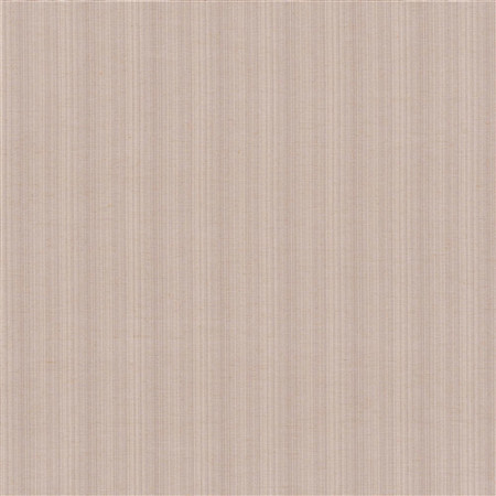 T1042 03 aurora   rose