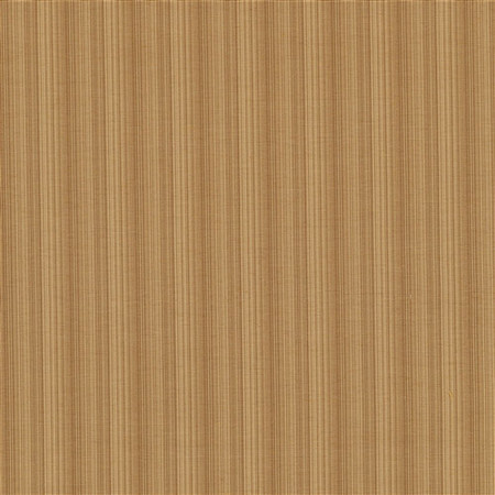 T1042 06 aurora   cinnamon