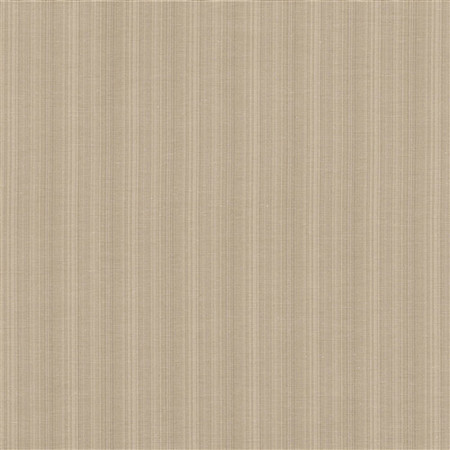 T1042 08 aurora   vison