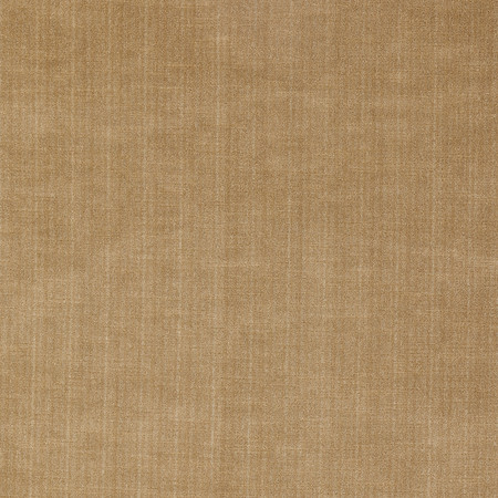 T1051 02 toledo   mink