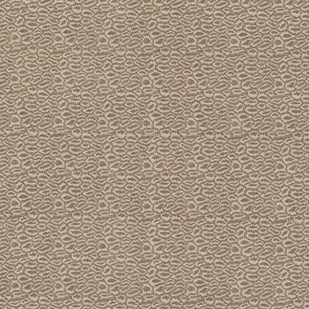 T2002 01 indian ice   brown