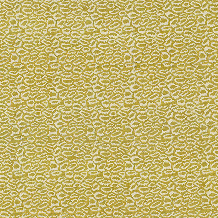 T2002 06 indian ice   golden kiwi
