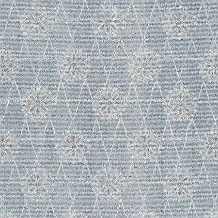 T2005 02 toji   blue coral