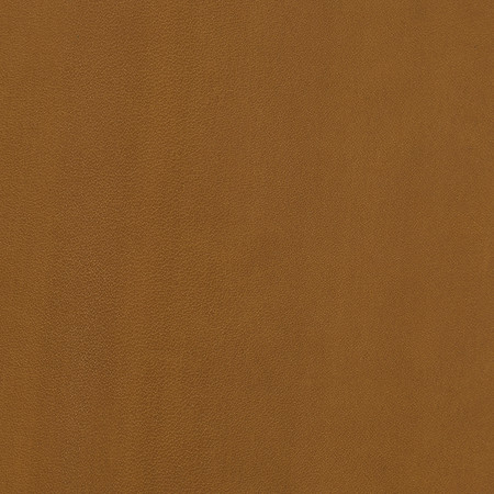J100 02 andalusia honey