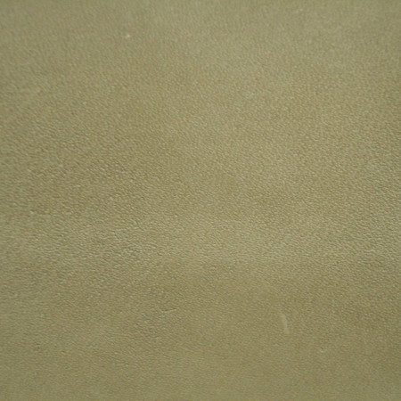 J100 06 andalusia moss