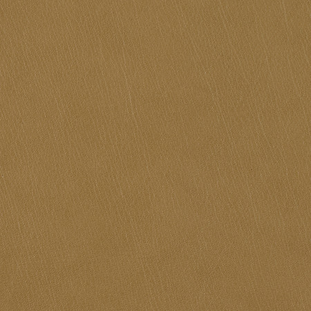 J101 09 palma caramel