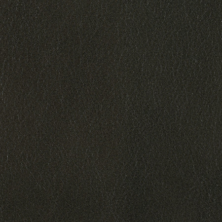 J102 04 derby pine
