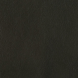 Jasper Leather in Derby - Pine