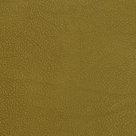 J102 11 derby peridot