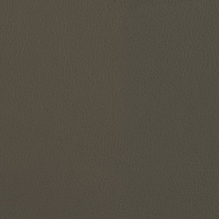 Jasper Leather in Ombre- Greystone