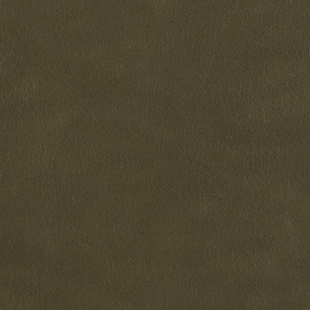 J103 05 ombr %c2%ac woodland