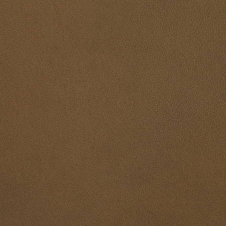 J103 06 ombr %c2%ac terra
