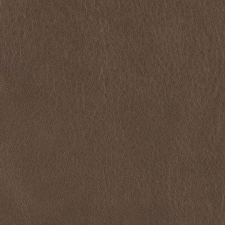 Jasper Leather in Ombre - Seal