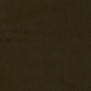 Jasper Leather in Ombre - Loft