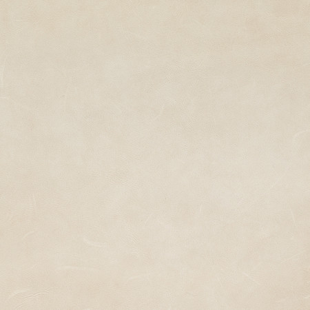 J104 01 lucen   bone