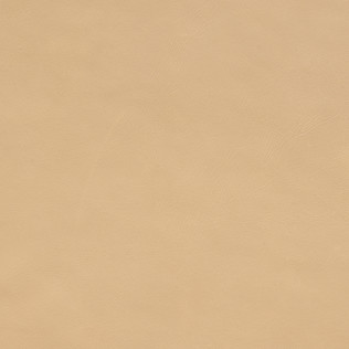 Jasper Leather in Evora - Almond