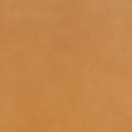 J105 04 evora   butterscotch