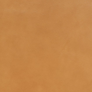 Jasper Leather in Evora - Butterscotch