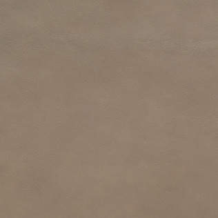 Jasper Leather in Evora - Taupe