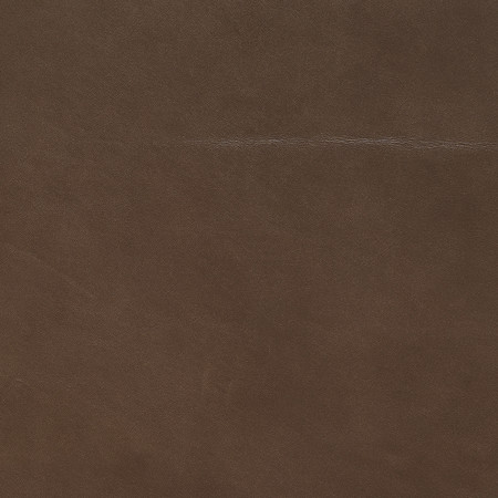 J105 06 evora   mink