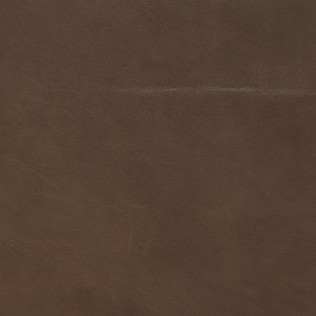 Jasper Leather in Evora - Mink