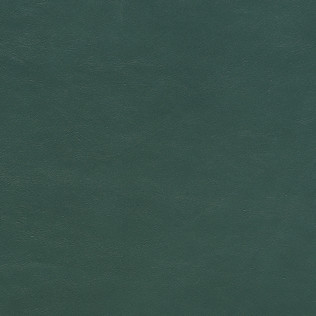 Jasper Leather in Evora - Jade